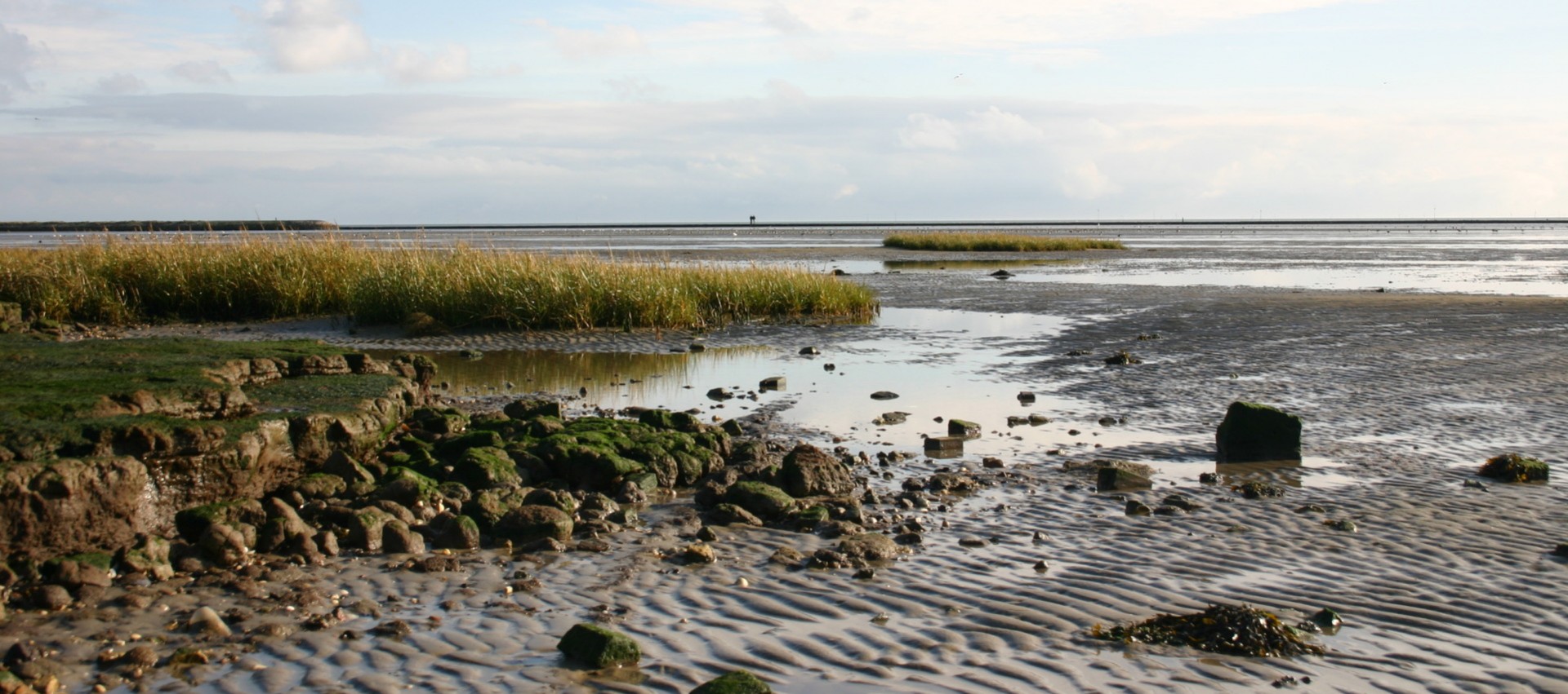              Rust en ruimte aan het wad